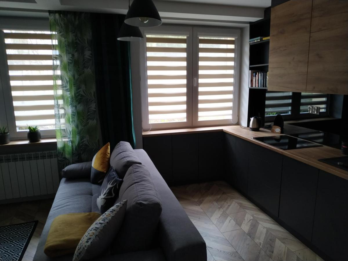 Apartament Skrytka Перемишль Екстер'єр фото